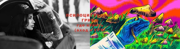 дурь Каменск-Шахтинский