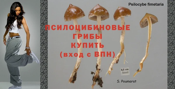 дурь Каменск-Шахтинский