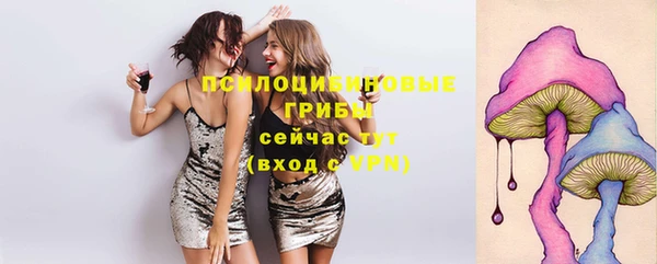 a pvp Армянск