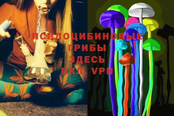 дживик Каменногорск