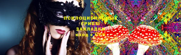крисы Арсеньев